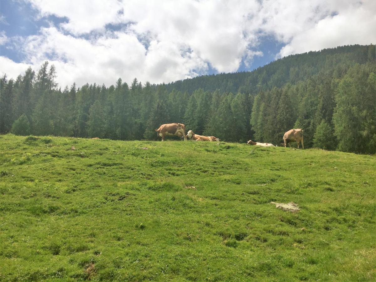 Sul Cucuzzolo Daire Marilleva Dış mekan fotoğraf