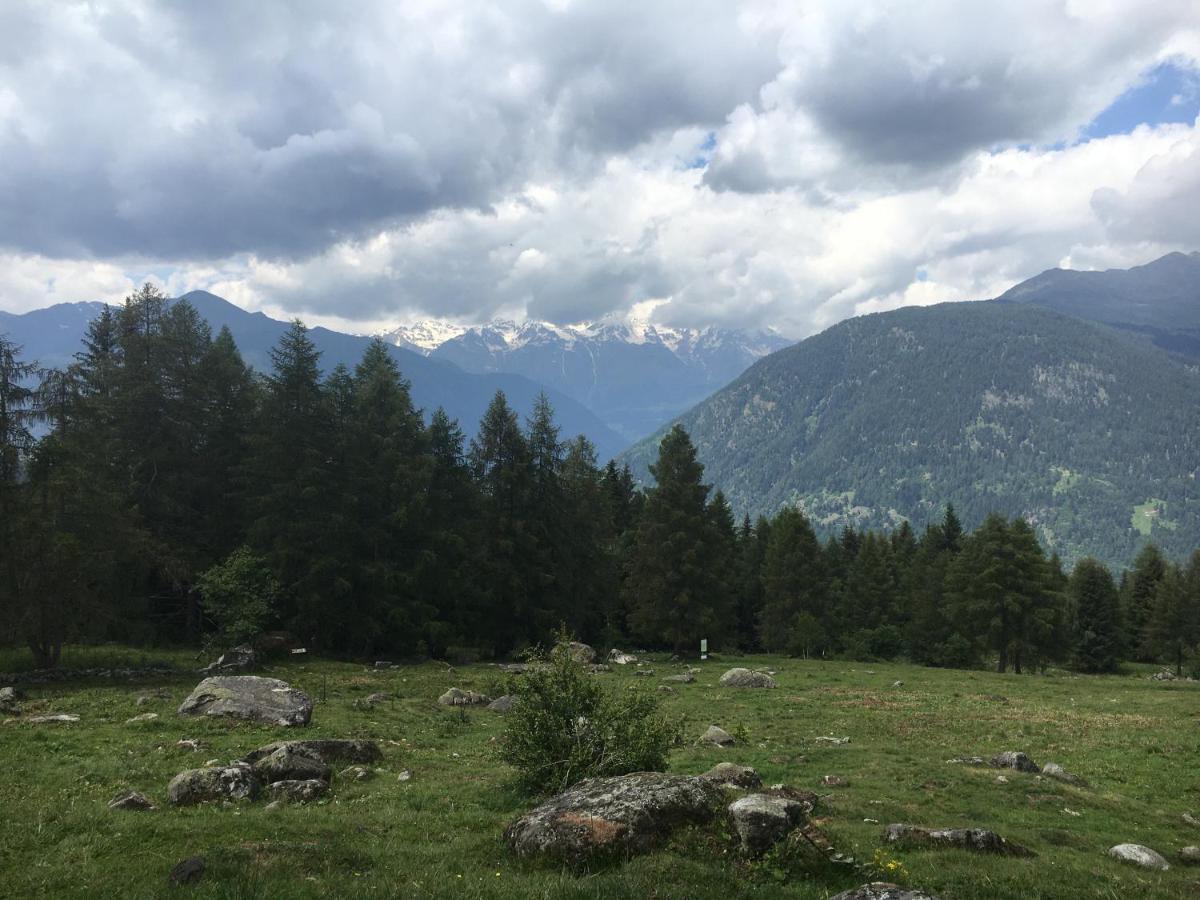 Sul Cucuzzolo Daire Marilleva Dış mekan fotoğraf