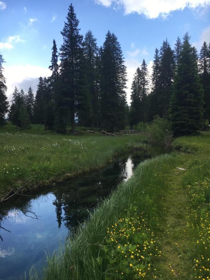 Sul Cucuzzolo Daire Marilleva Dış mekan fotoğraf