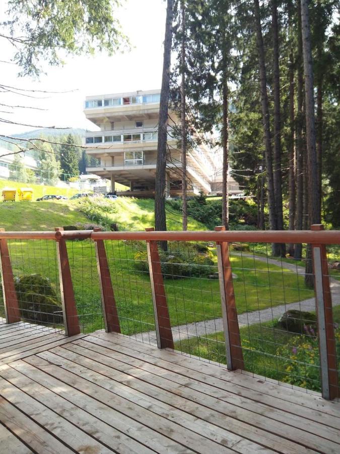 Sul Cucuzzolo Daire Marilleva Dış mekan fotoğraf