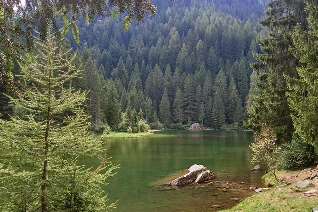 Sul Cucuzzolo Daire Marilleva Dış mekan fotoğraf